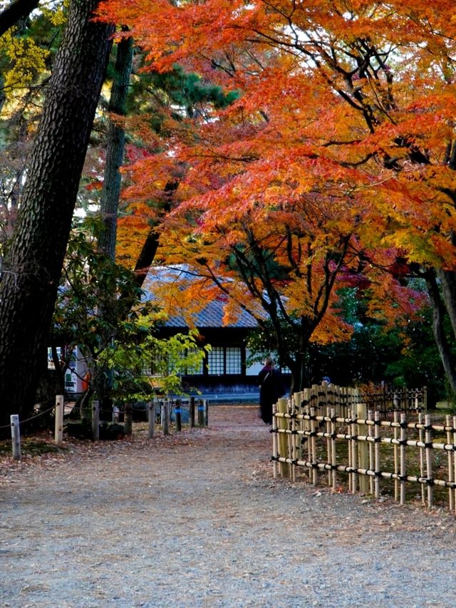 JAPAN AUTUMN 2025 JAPAN AUTUMN 2025