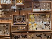 Your Ultimate Weekend Guide to Shanghai’s Hotspots 💎✨