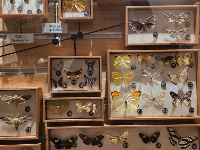 Your Ultimate Weekend Guide to Shanghai’s Hotspots 💎✨