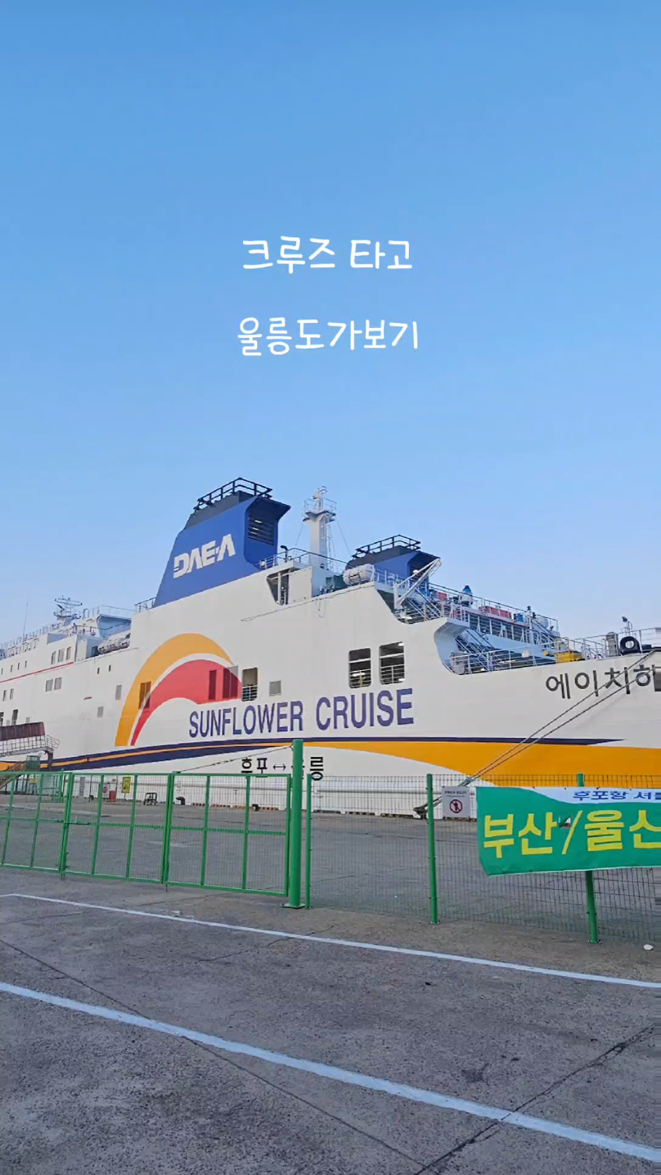🌊 Panduan Wisata Ulleungdo Mulai dari Pelabuhan Hupo