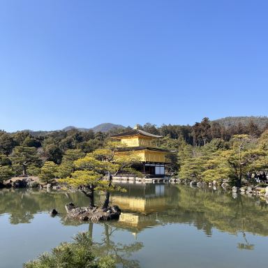 金色に輝く金閣寺。 | Trip.com 京都