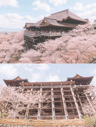 清水寺，京都的地標。