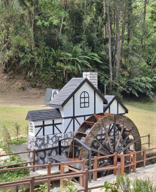 เฟรเซอร์ฮิลล์ (Fraser's Hill) มาเลเซีย สถานที่หลีกหนีความวุ่นวายไปรับลมหนาวบนภูเขา เพียง 2 ชั่วโมงจากกัวลาลัมเปอร์