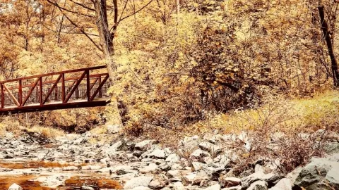 Canada Northwest Territories Nahanni River Mossy Virginia Fallseasytravelpost #Nahanni #VirginiaFal — traveler post in Edmonton