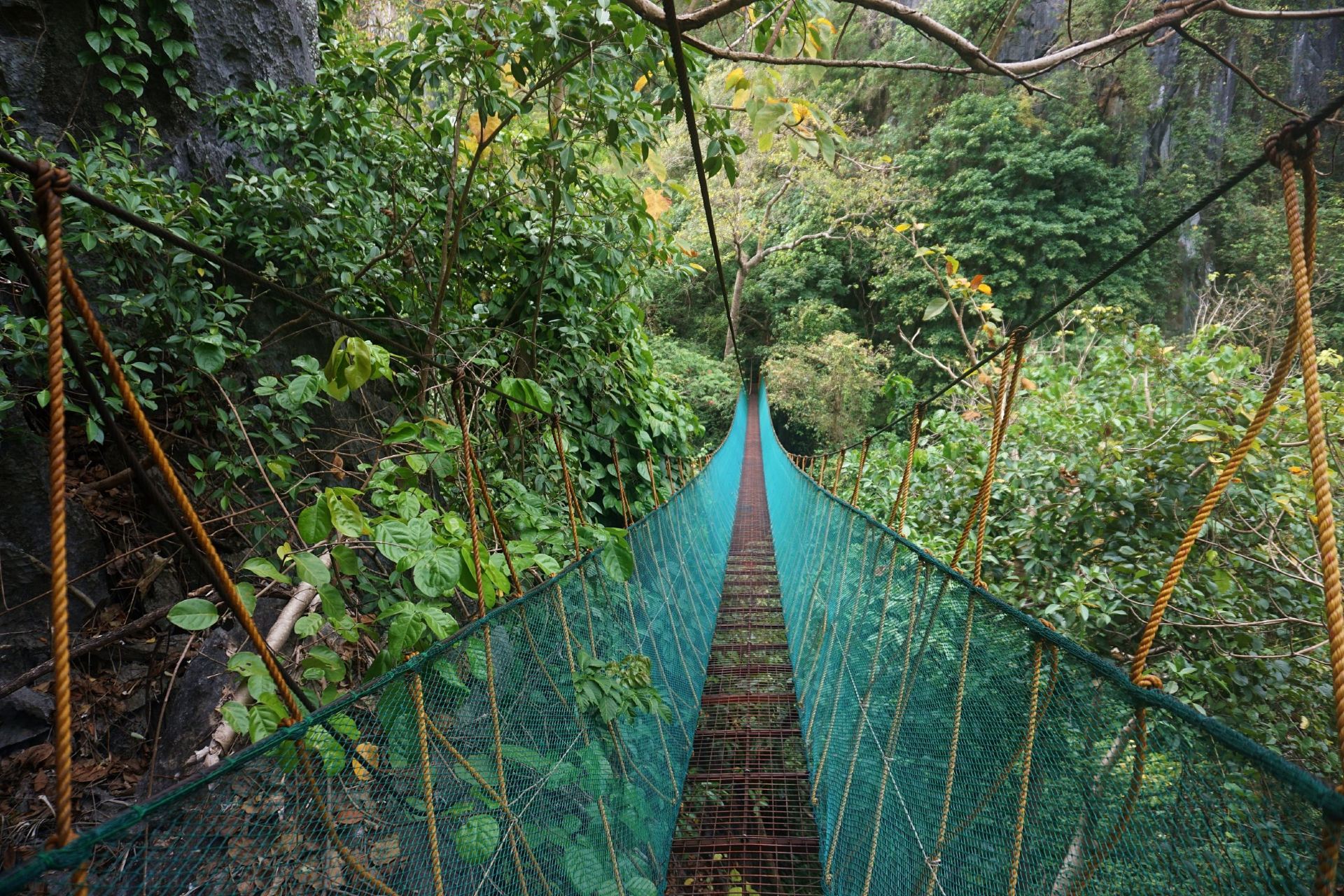 【El Nido, Philippines】Unlock a New Perspective of El Nido! A Safe Yet Thrilling Canopy Walk Adventure.