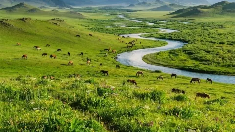 Why July is the Ultimate Time to Experience Mongolia — traveler post in Sucre