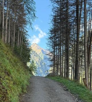 ✨ Another few wonderful days in Prägraten am Großvenediger, East Tyrol, Austria 🇦🇹