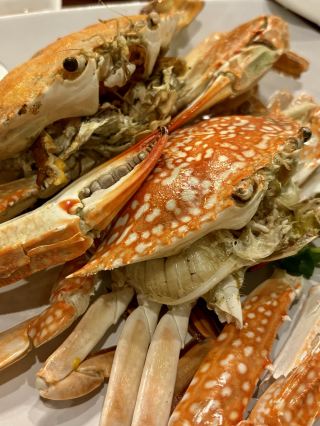 A Seafood Feast by the Sea in Phatthalung