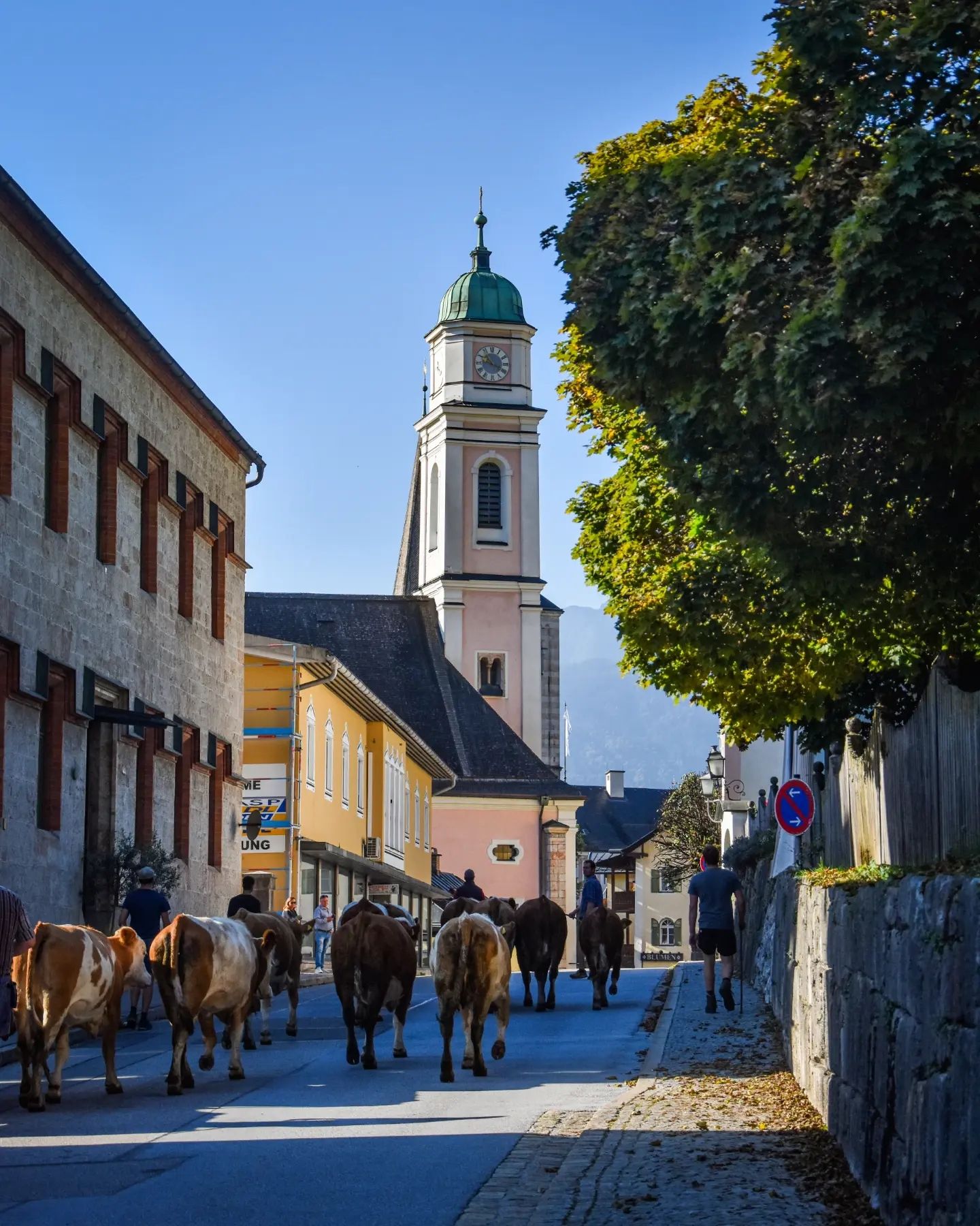 Alpine Peaks, Historic Towns & Mountaintop Retreats (Best for Nature & Travel Focus)