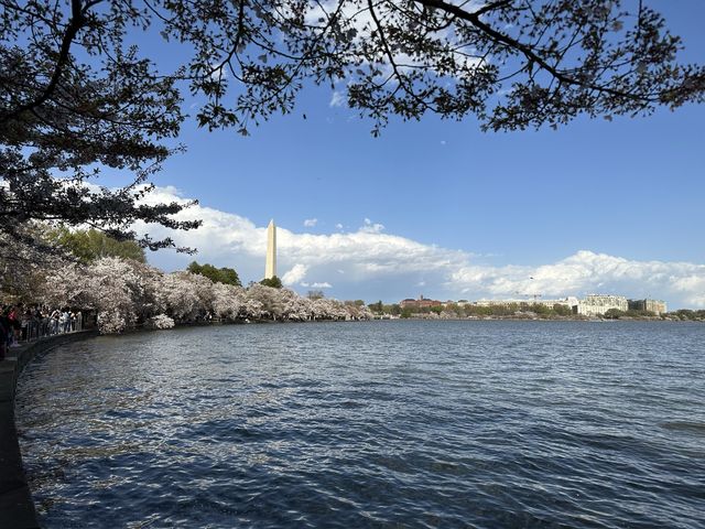 The Place of Spiritual Serenity in Washington D.C.