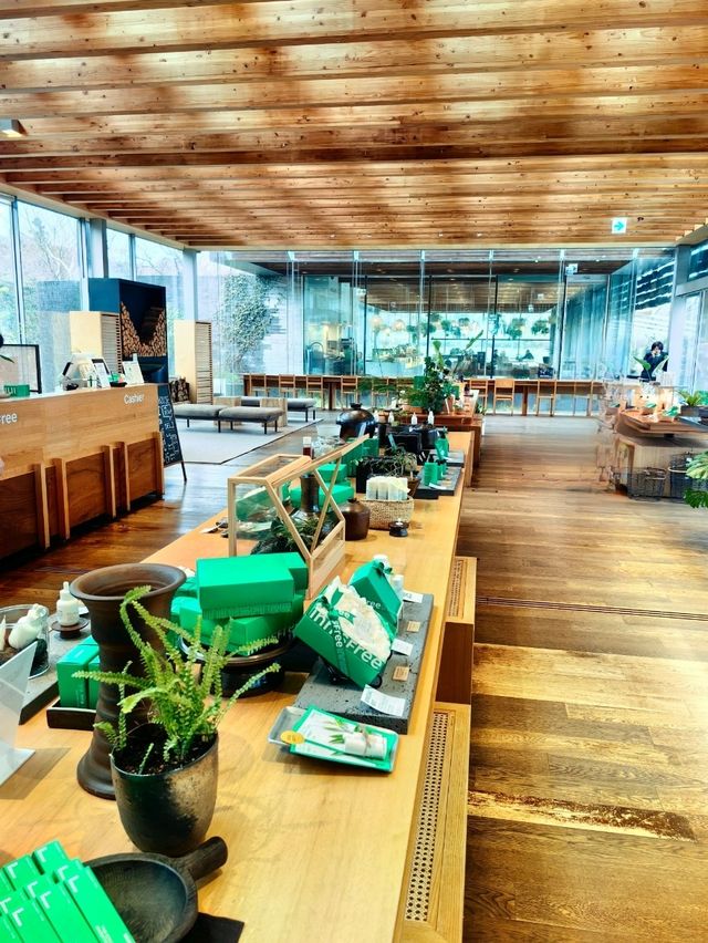 Innisfree Haven: Jeju's Green Retreat