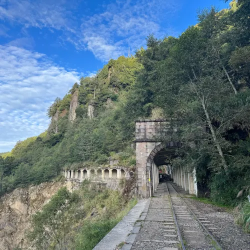 阿里山眠月線