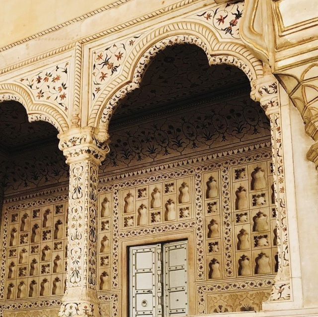 【インド🇮🇳】見どころ満載☺️世界遺産に触れる旅