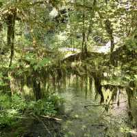 Olympic National Park in September 
