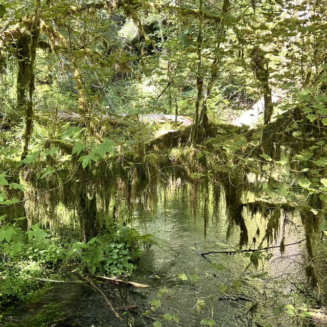 Olympic National Park in September 