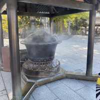 【成田🇯🇵成田山新勝寺】パワースポットへお参りに☺️