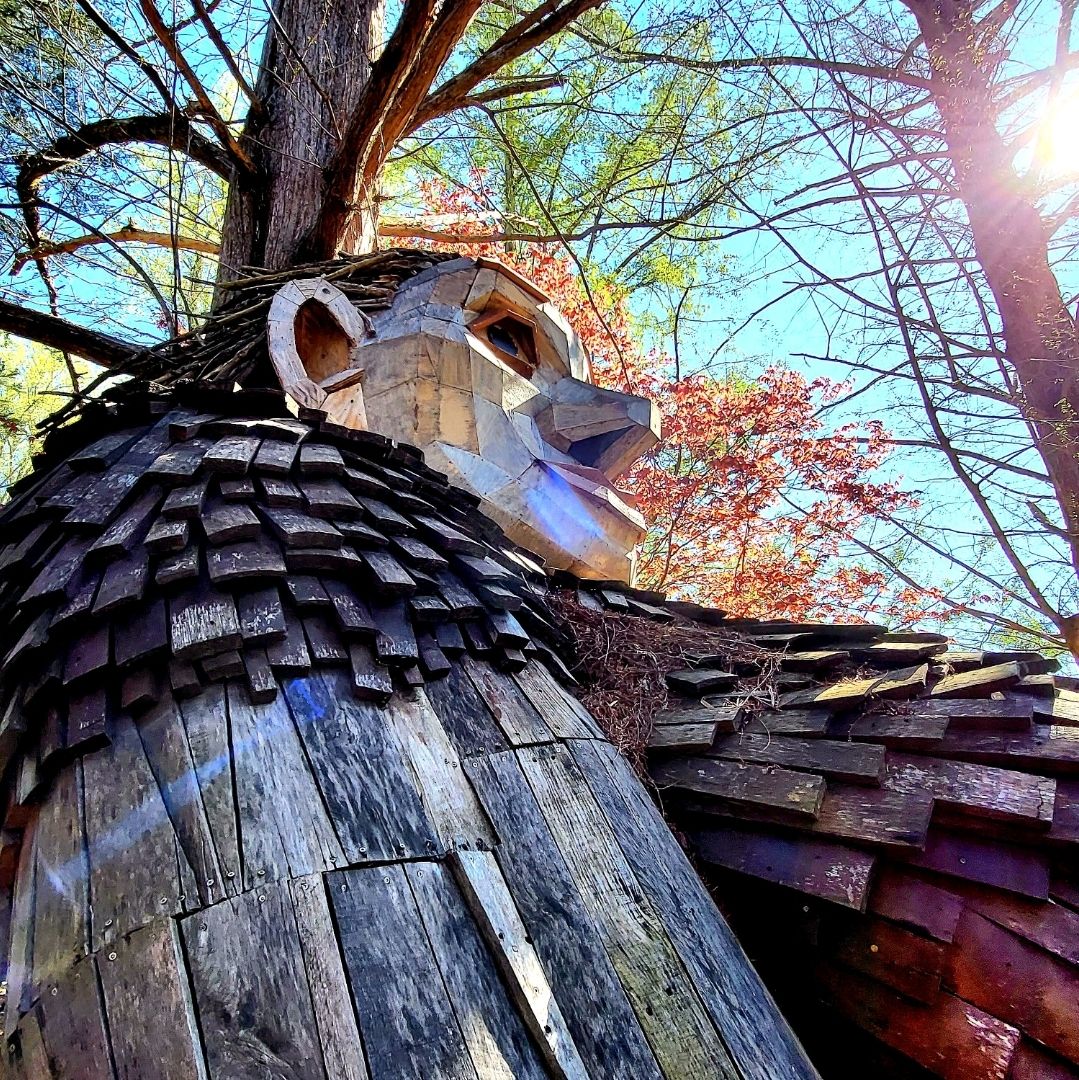 A family of forest giants designed in harmony with nature to illustrate the scale of wonder