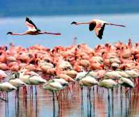 Lake Manyara National Park
