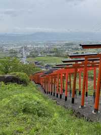 14-Day Kyushu island 