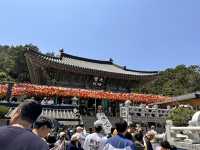 3days/2 nights South Korea tour 2025