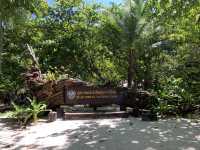 ✨ “Phuket Horizon Journey