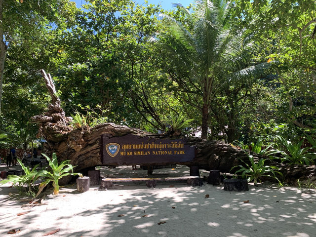 ✨ “Phuket Horizon Journey