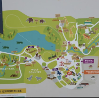 Knowsley safari park day out 🦁 