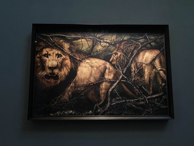 Hamiltons Gallery: Where Art Unveils Stories