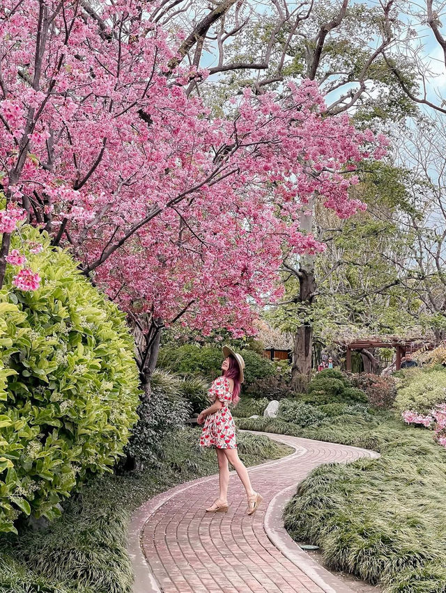 일본 우정 정원 🪴🌸