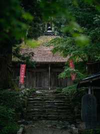 미야기현: 자연의 아름다움과 고대 문화 🌲🏯