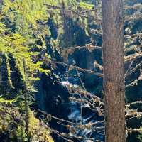 Discovering Nature’s Wonder: A Journey Through Gorner Gorge