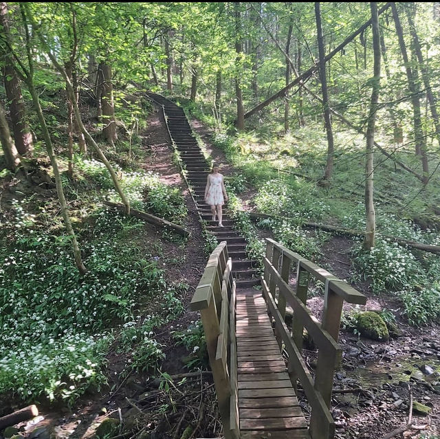 A journey through Middle Earth 