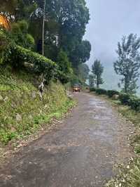 Chinnar Wildlife Sanctuary 