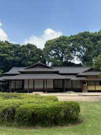 Tokyo Imperial Palace East Gardens: A Timeless Oasis in the Heart of Modernity