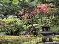 The Kyoto Imperial Palace (京都御所, Kyōto Gosho)