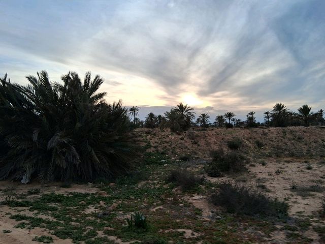 Desert sunset❤️