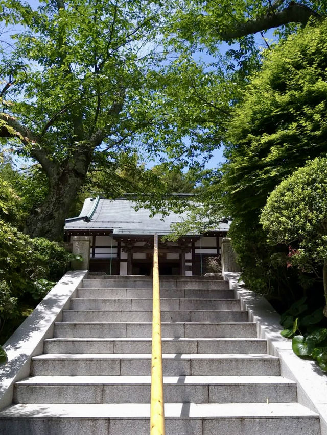 Spring Serenity at Hokoku-ji