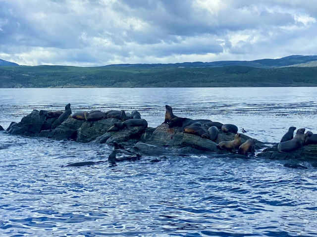 Slow Travel Vibes – Ushuaia