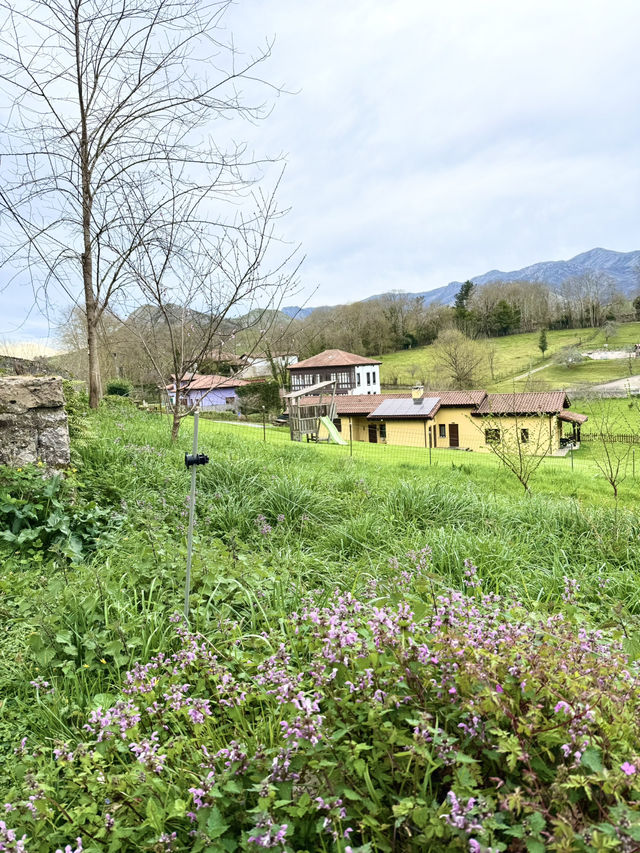Your Perfect Day in Asturias ⛰️🌲