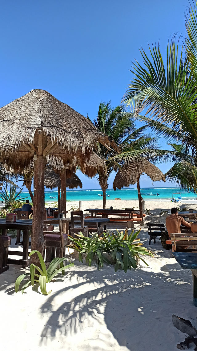 11 Days of Magic – Your Perfect Mexico Itinerary ☀️🌴🌺
