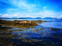 Baker Island – Acadia’s Remote Coastal Escape