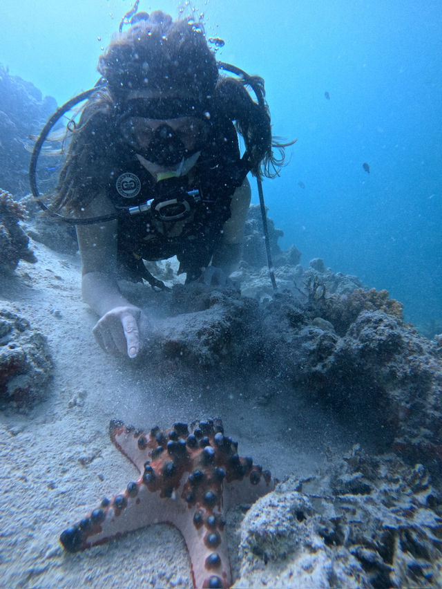 #malaysia#semporna#manulwaterbungalows#scubadiving#turtles#stingray