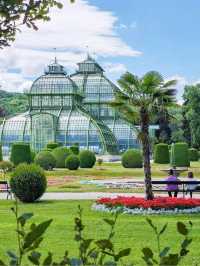 Vienna – Elegance, Music, and Imperial Grandeur