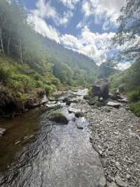 Spout force 