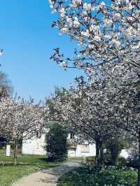 Lampeter: A Quiet Welsh Gem with a Gentle Soul