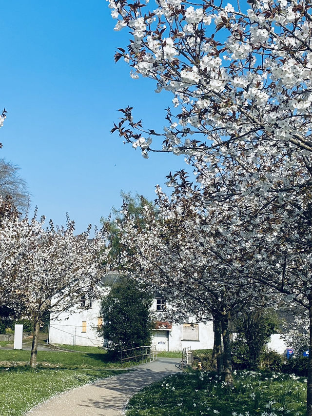 Lampeter: A Quiet Welsh Gem with a Gentle Soul