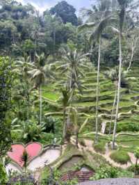 Day on Bali: 10 Hours of Luxury
