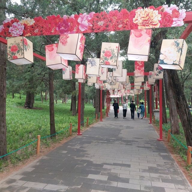 Jingshan park is a beautiful park