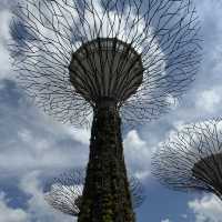 Leaf It to Singapore to Amaze Me 🌿