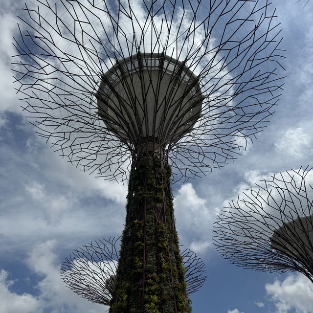 Leaf It to Singapore to Amaze Me 🌿